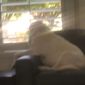 Meet your Posher, Cheryl